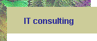 IT consultant